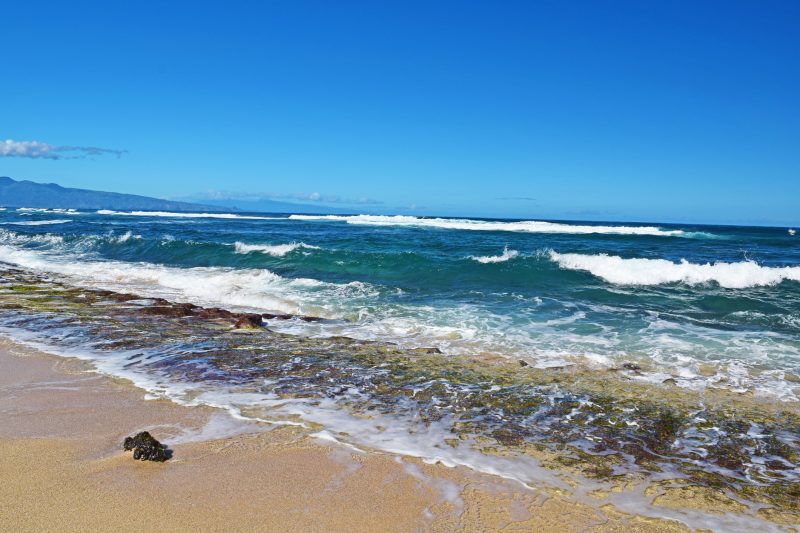 Accused Killers of Slain Surfers Tied to Mexican Drug Cartel